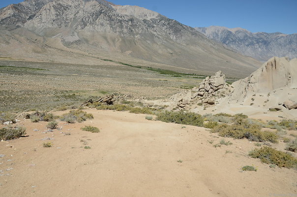 DND 9824