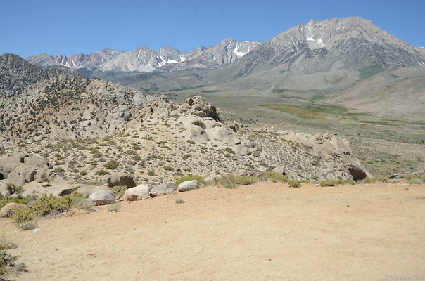 DND 9829