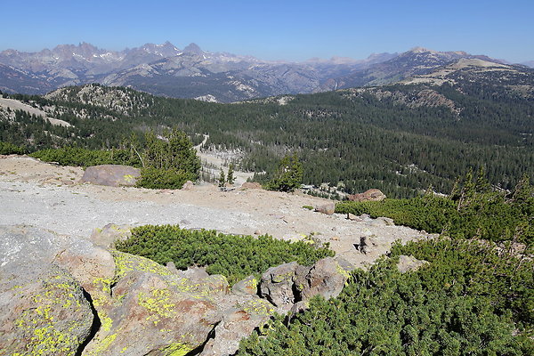 IMG 4763