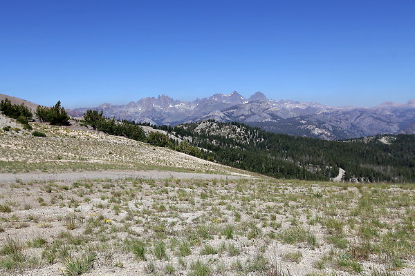 IMG 4729