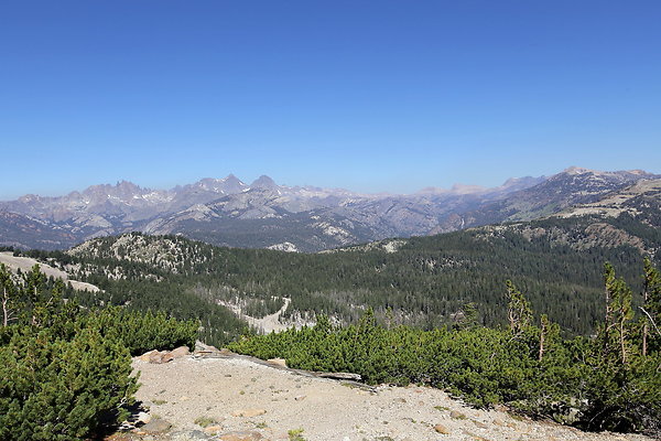 IMG 4739