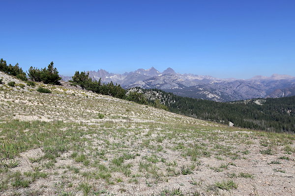 IMG 4738