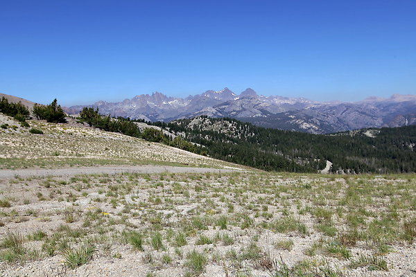IMG 4730