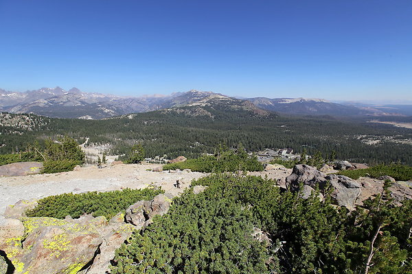 IMG 4764