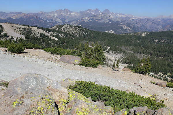 IMG 4761