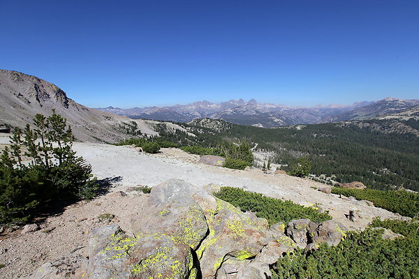 IMG 4762