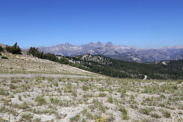 IMG 4731