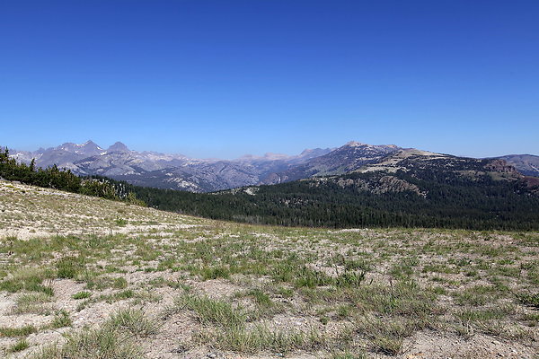 IMG 4737