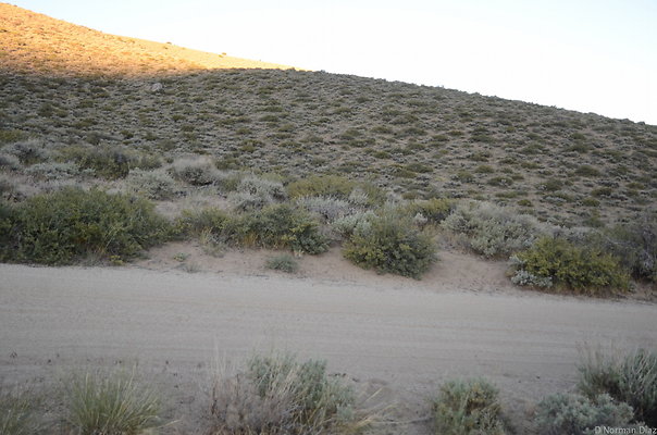 DND 0282