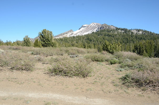 DND 9567