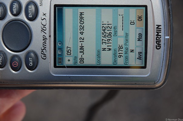 DND 9590