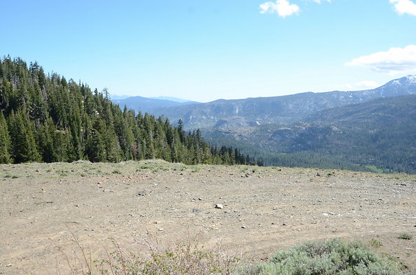 DND 9553