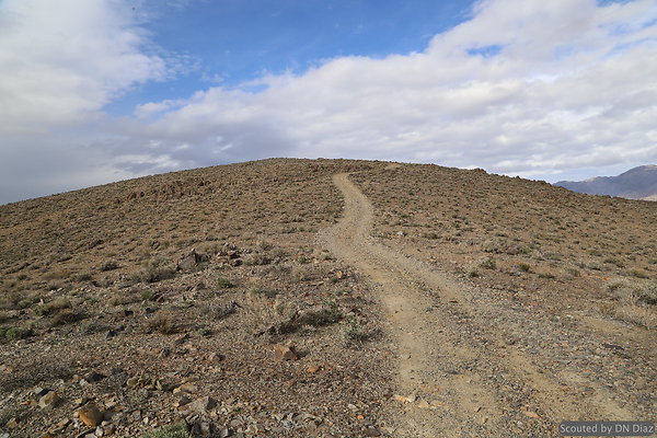 DNDIMG 6536