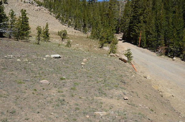 DND 0624