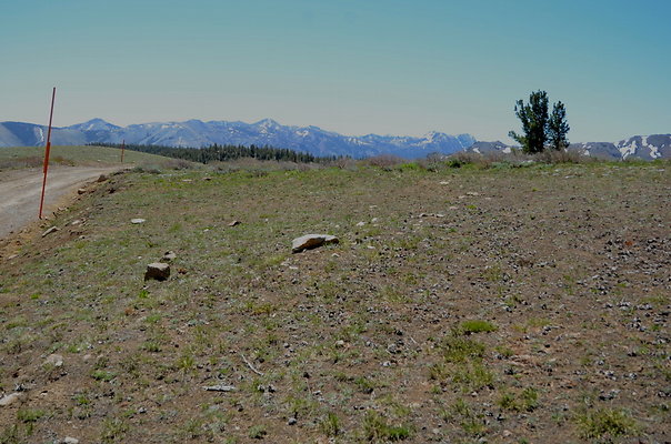 DND 0629