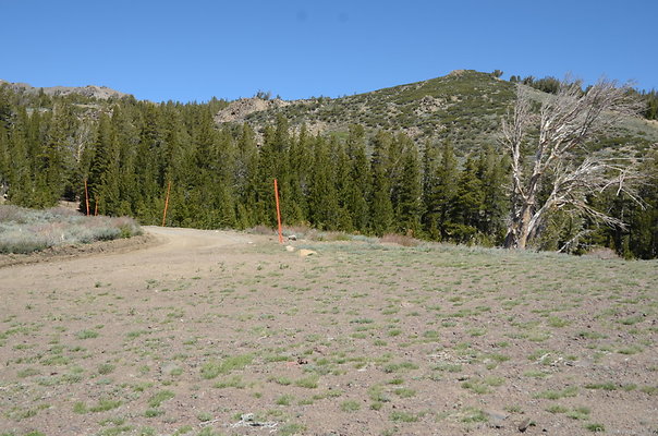 DND 0590
