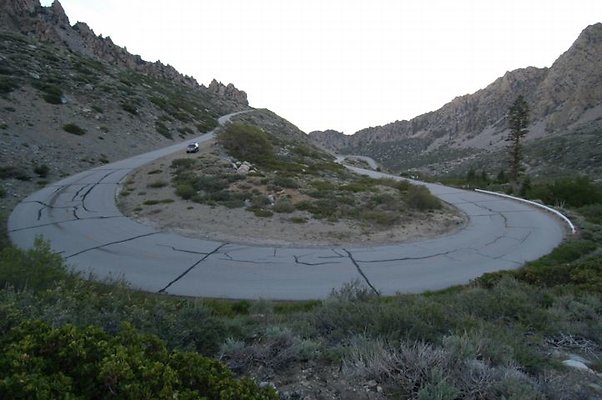 DSC 7010