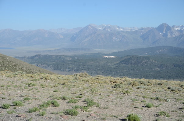 DND 0104