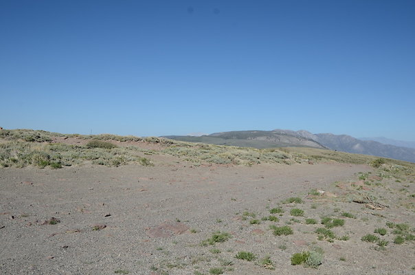 DND 0103