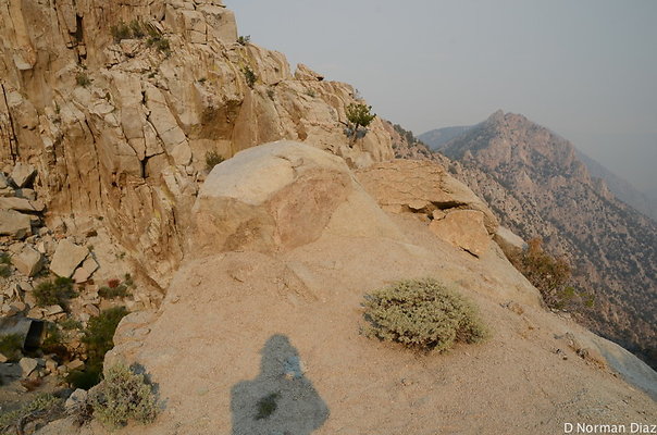 DND 7296