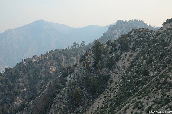 DND 7336