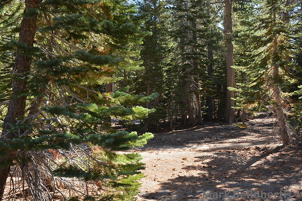 09 Mammoth Mtn 4 Road