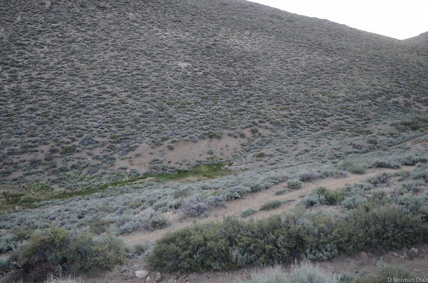 DND 0353