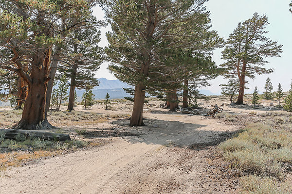 Primitive-camp-spot-at-end-of-trail1