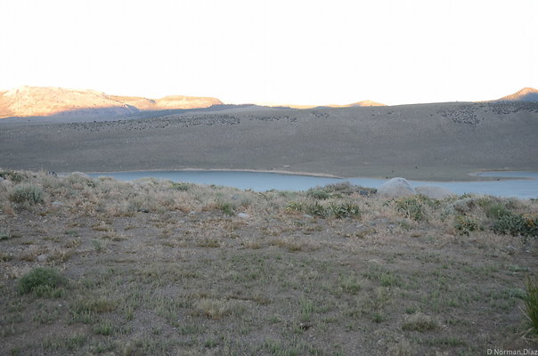 DND 9724