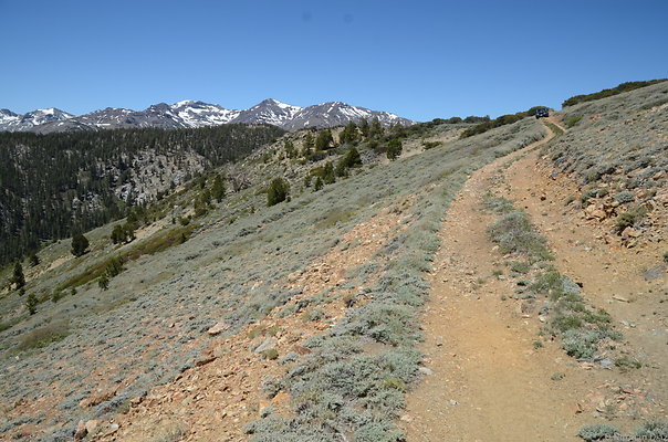 DND 0749