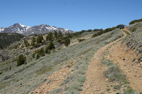 DND 0751