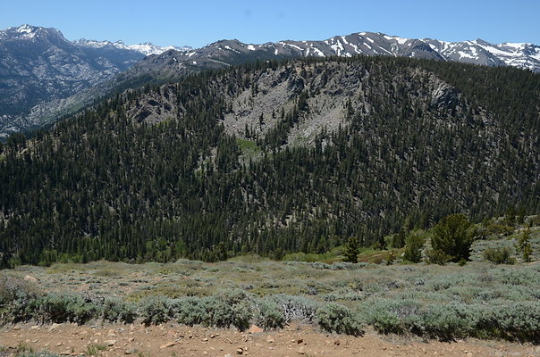 DND 0735