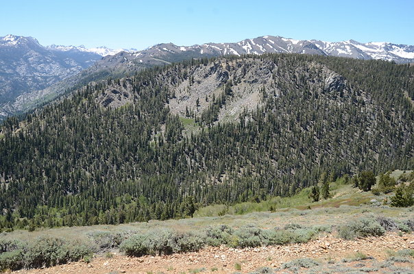 DND 0740