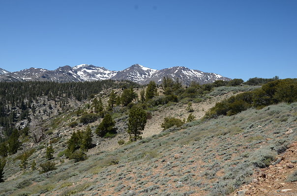 DND 0743