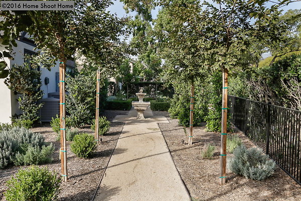 front-garden-reverse