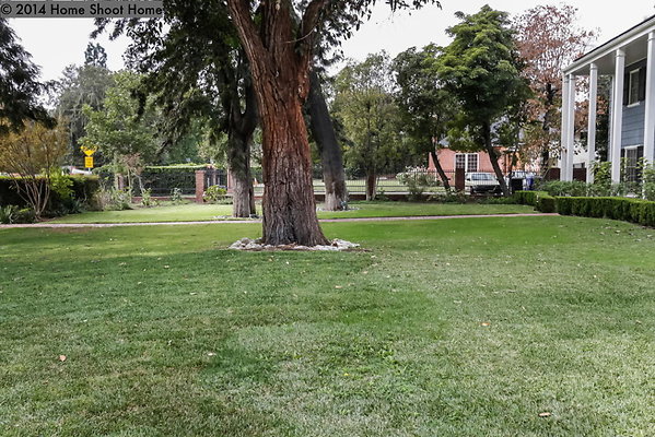 69front-lawn-side-view