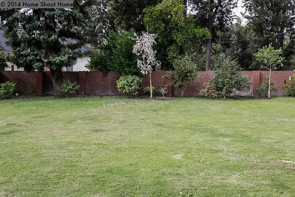 64backyard-side-view-reverse