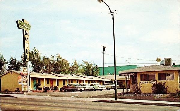 cactus-motel