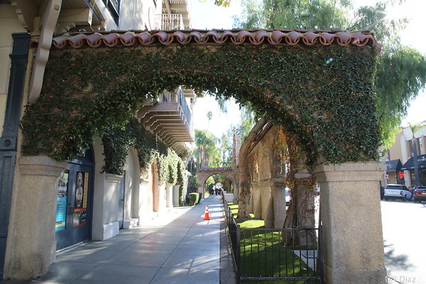 DND 8049