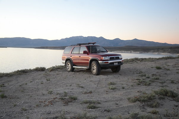 AzDND 9915 AzDND 9915