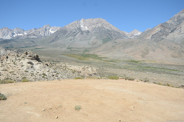 65 Buttermilks