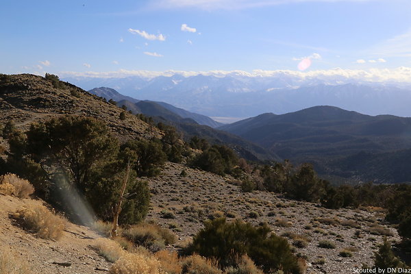 DNDIMG 8266 DNDIMG 8266