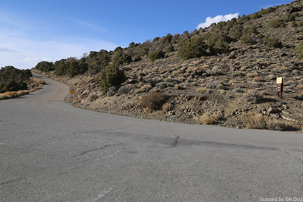 DNDIMG 8259 DNDIMG 8259