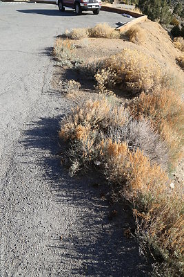 DNDIMG 8270 DNDIMG 8270