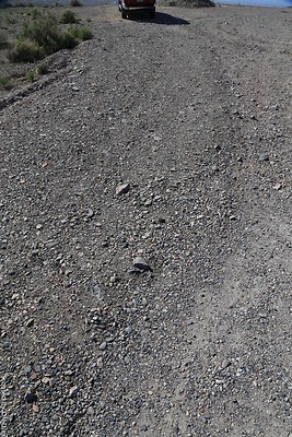 DNDIMG 8106 DNDIMG 8106