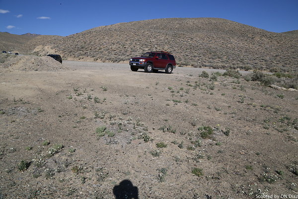 DNDIMG 8082 DNDIMG 8082