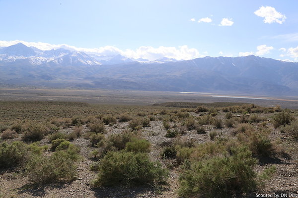 DNDIMG 8100 DNDIMG 8100