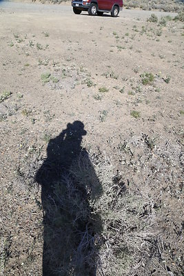 DNDIMG 8083 DNDIMG 8083