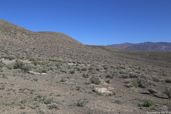 DNDIMG 8079 DNDIMG 8079