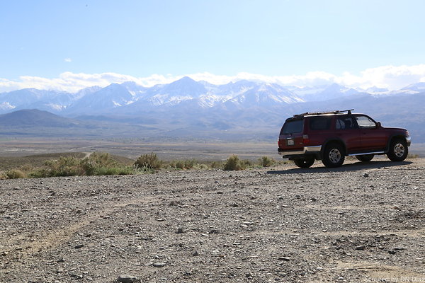 ADNDIMG 8110 ADNDIMG 8110